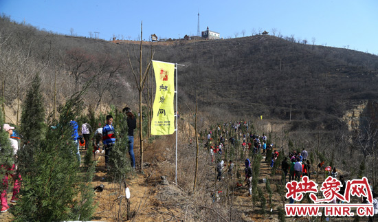 植樹現(xiàn)場(chǎng)如火如荼