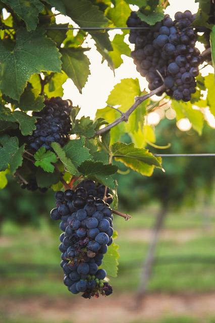 盤(pán)點(diǎn)10大二人世界理想之地