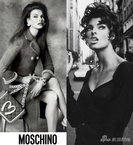 超?！笆甲妗保篖inda Evangelista