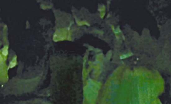 房祖名去年被港媒直擊在中環(huán)夜店與長發(fā)妞互動(dòng)曖昧，女生正是Nana