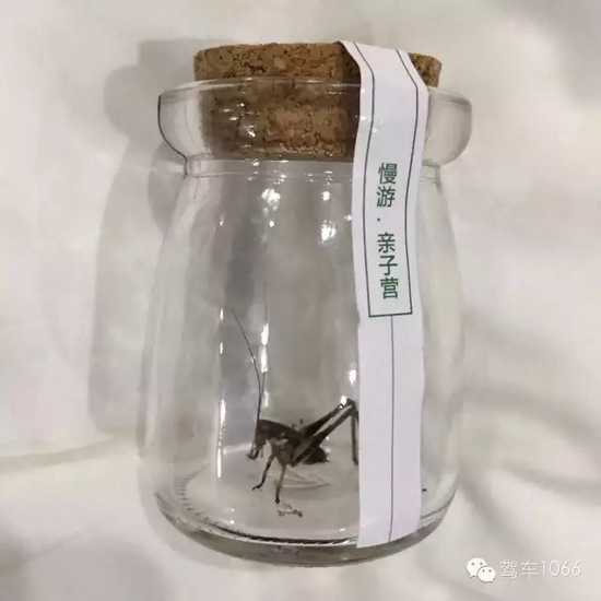 看看我的成果吧！