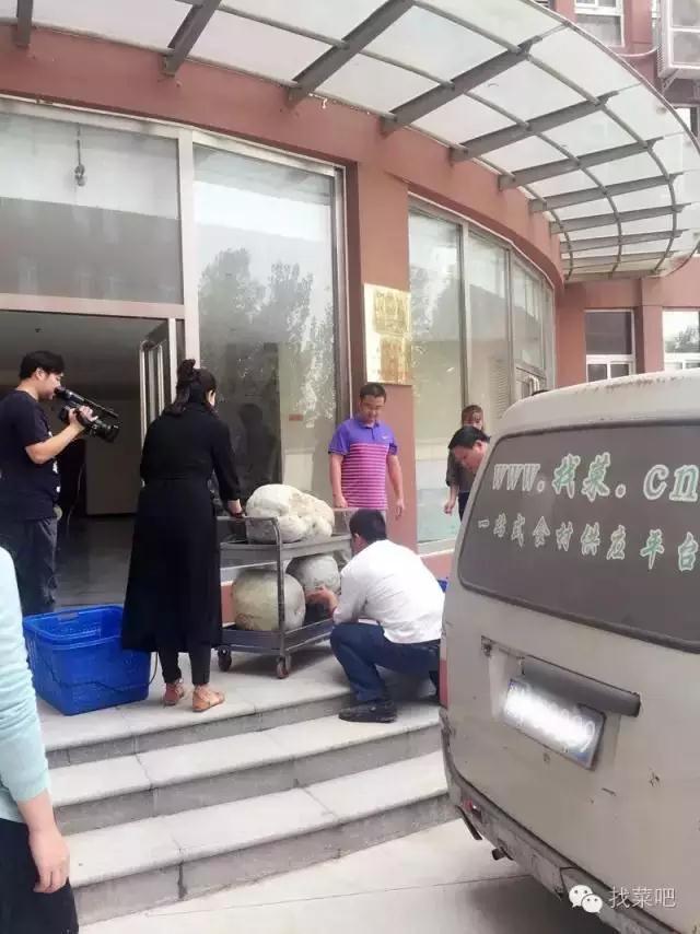 找菜網(wǎng)認購百萬斤冬瓜，解農(nóng)戶燃眉之急