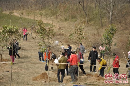 熱火朝天的植樹總動(dòng)員