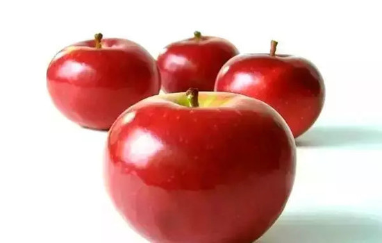 小心有毒！各種蔬果不能吃的部分