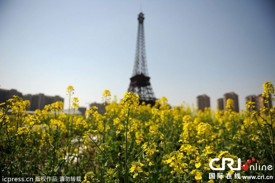 　2014年3月21日，杭州天都城，農(nóng)民在山寨埃菲爾鐵塔下耕作。圖片來源：東方IC