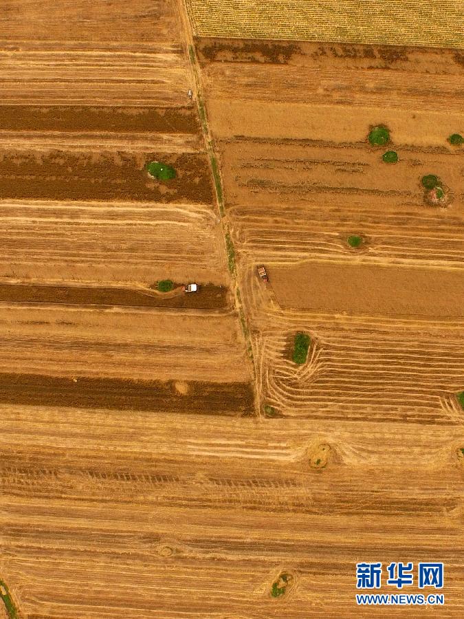 這是5月28日在河南省南陽(yáng)市唐河縣甘河灣村航拍的麥?zhǔn)宅F(xiàn)場(chǎng)。