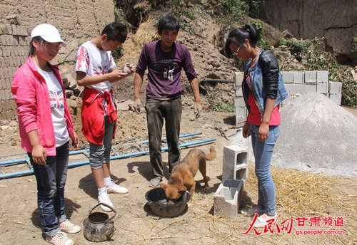 渴壞了的小黃狗在喝水。王生元/攝