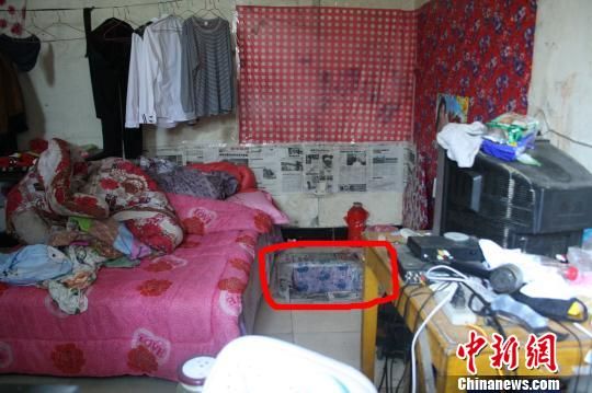 圖上紅圈內為嫌犯所挖地窖入口。 吳佳蔚 攝