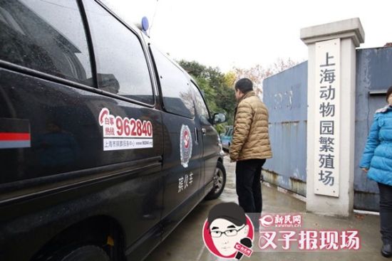 殯葬車到達(dá)現(xiàn)場。新民網(wǎng) 記者 蕭君瑋 攝