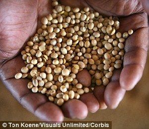 超強(qiáng)厄爾尼諾將引發(fā)全球極端天氣，中國(guó)北方或極端高溫-