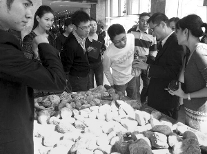 前段時(shí)間，夫子廟古玩城舉行的一場(chǎng)賭石活動(dòng)，吸引了不少人參與