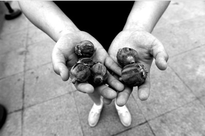 “大煙殼”輕易就可以買到。下圖：女?dāng)傊髂贸霾卦诩t色兜子里的“大煙殼”，向記者兜售。京華時(shí)報(bào)實(shí)習(xí)記者趙思衡攝