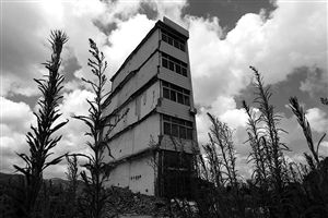 這幢5層的“片片樓”周圍已是一片拆遷后的廢墟，左邊的一堵墻上，不少鋼筋裸露在外面 圖片來源：新華網