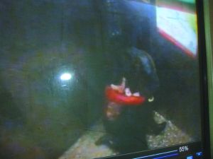 男子將侯某撲倒，侯某反抗。