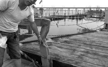 鼻孔里凝著血痂、全身多處擦傷的周先生仍有些驚魂未定。