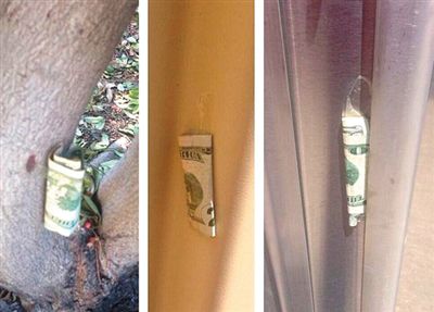 “隱藏的鈔票”會(huì)被神秘人藏在公園、廁所等“奇怪的地方”。