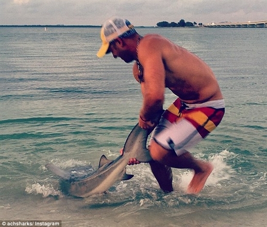美國(guó)男子空手將360斤活鯊魚拉上岸 曾拉過88條
