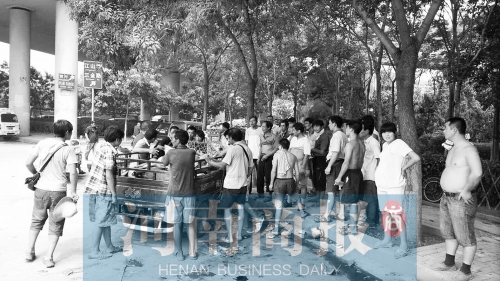 北環(huán)南陽(yáng)路立交橋下，瓜農(nóng)小秦被打后，附近瓜農(nóng)紛紛圍了上來(lái)