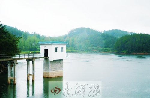 河南新縣一村疑現(xiàn)狼群獵食狗 專家稱或是金錢豹 河南新縣一村疑現(xiàn)狼群獵食狗 專家稱或是金錢豹