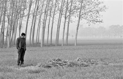 11月21日，高松中站在腦癱雙胞胎兒子墳前。