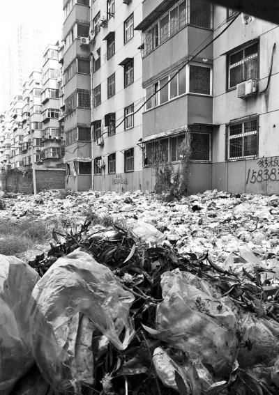 透過擋板縫向內(nèi)看，30多米垃圾已經(jīng)將居民樓包圍。