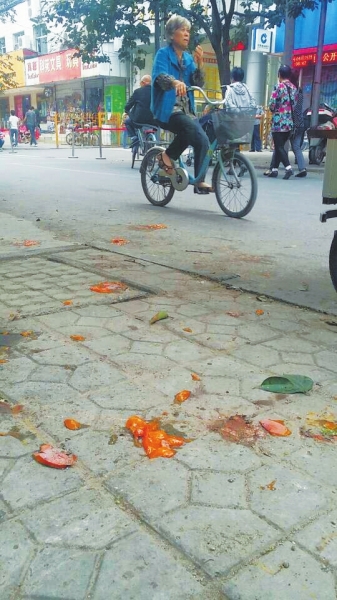 爛了一地的柿子影響市容，還常常滑倒人。