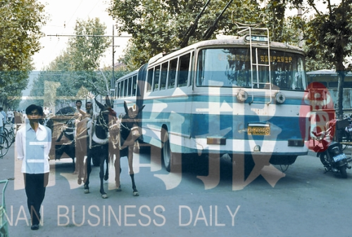 當年的伏牛路，驢車和公交車并行