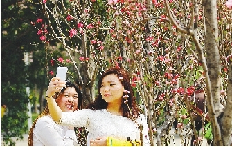 市民在公園與花合影。