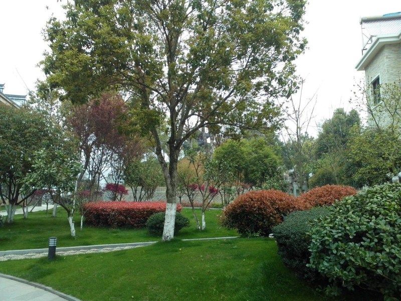 浙江村支書豪華別墅 浙江村支書豪華別墅