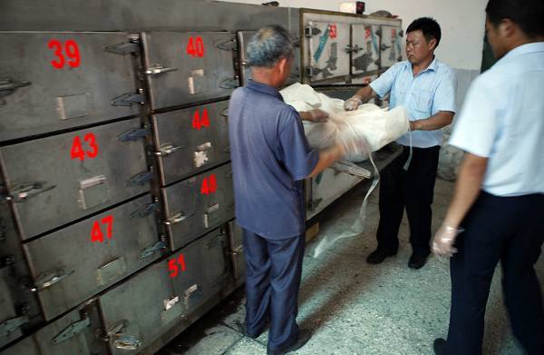 真實(shí)記錄一個吸毒者生命最后19天