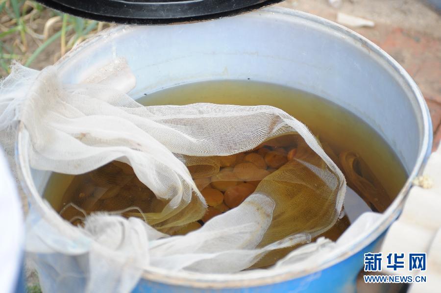 地下水成“綠茶”　污染二十多年該誰治？