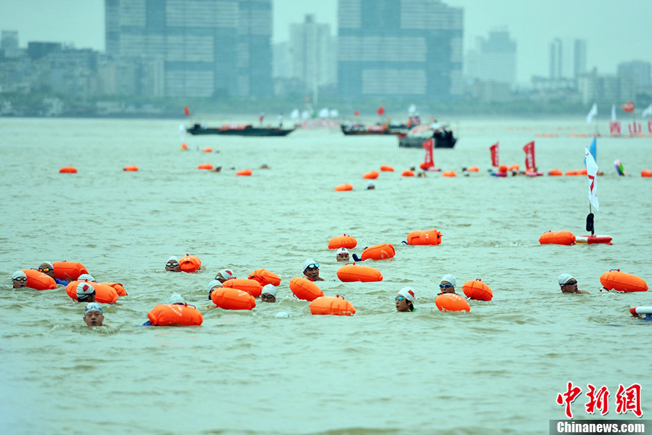 圖為江面上的橫渡方隊里的選手們劈波斬浪。中新社發(fā) 張暢 攝