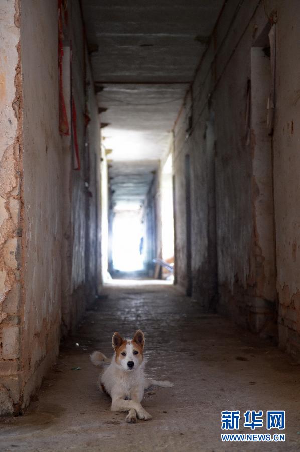 農(nóng)場(chǎng)棚戶區(qū)的最后留守家庭：留下的是回憶，迎來(lái)的是幸福