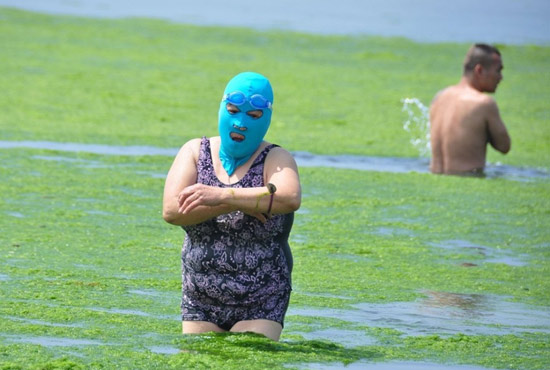 2013年7月3日，山東青島青島高溫來襲，“青島大媽”不懼滸苔，戴著“強盜面具”出現(xiàn)在海水浴場消暑降