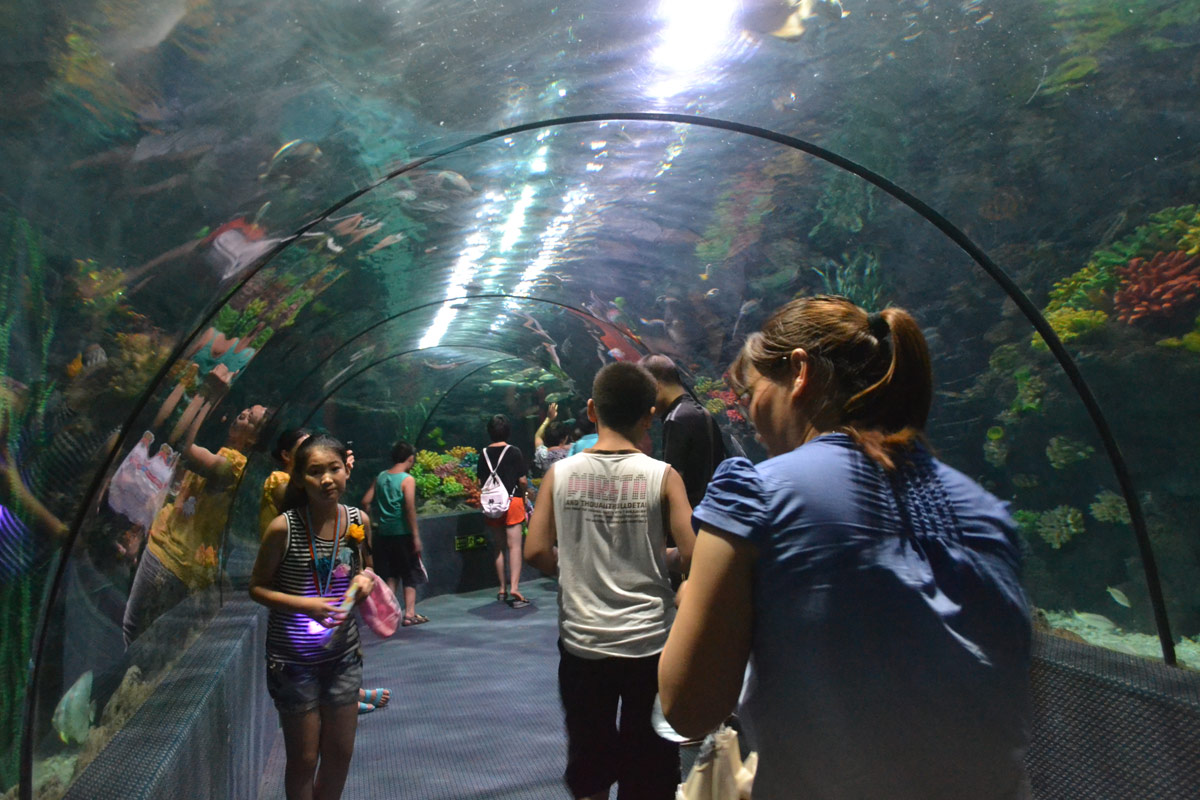 春節(jié)去哪兒？出游地圖告訴您！