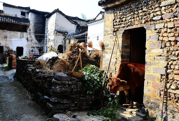 10大古村落，見證鶴壁舊時光