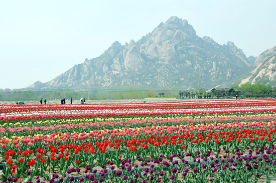 湖光山色這里都有 愛(ài)上“鄰家姑娘”嵖岈山