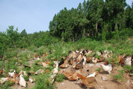 旅游真奇妙 這些事你知道嗎？