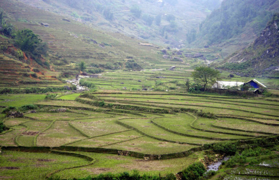 越南簽證費下調(diào) 快去感受東南亞風(fēng)情