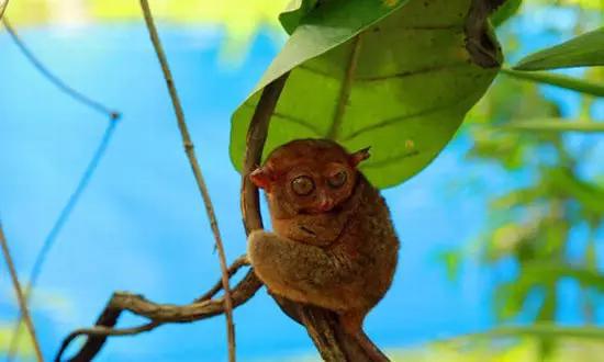 適合在冬天旅游的十個絕美海島！