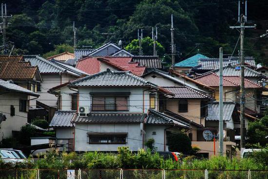 全球最萌車站 站長是只貓 全球最萌車站 站長是只貓