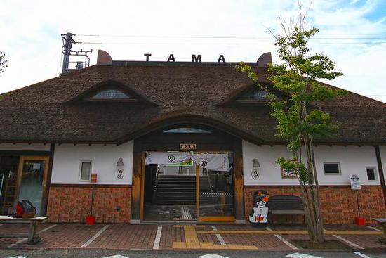 全球最萌車站 站長是只貓 全球最萌車站 站長是只貓