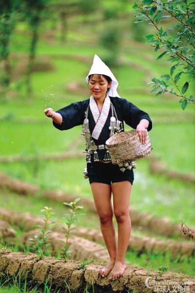 奕車(chē)人 奕車(chē)人