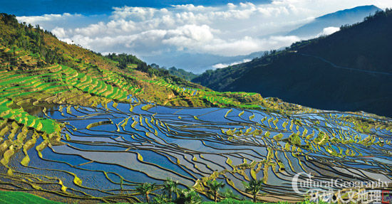 他們是哈尼族的一個(gè)支系 他們是哈尼族的一個(gè)支系