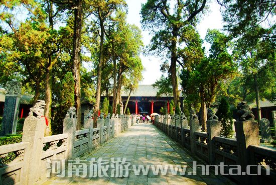 國際博物館日洛陽多家博物館免費(fèi)開放