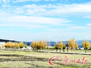 　　大理洱海湖畔美麗的鄉(xiāng)村景色。