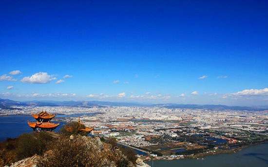 春城無處不飛花 昆明 春城無處不飛花 昆明