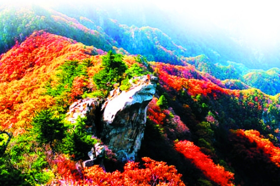 中秋賞月祈福獻孝心 父母免費游堯山