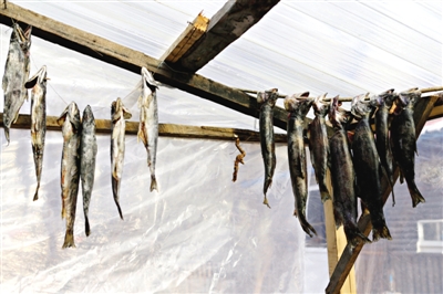 長(zhǎng)白山腳下一家小餐館內(nèi)晾曬的冷水魚(yú)。