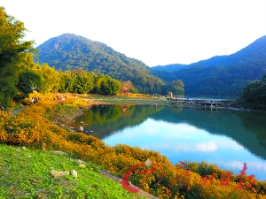 初冬的石門森林公園色彩絢爛。